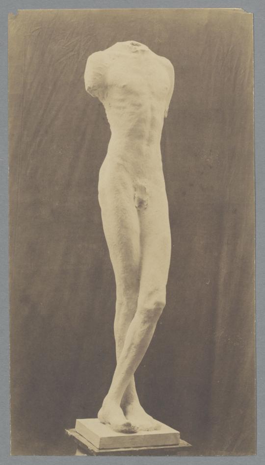 Torso eines Somali, 1912, Gips