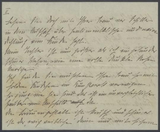 Briefe von Maria zu Oettingen-Wallerstein an Georg Kolbe